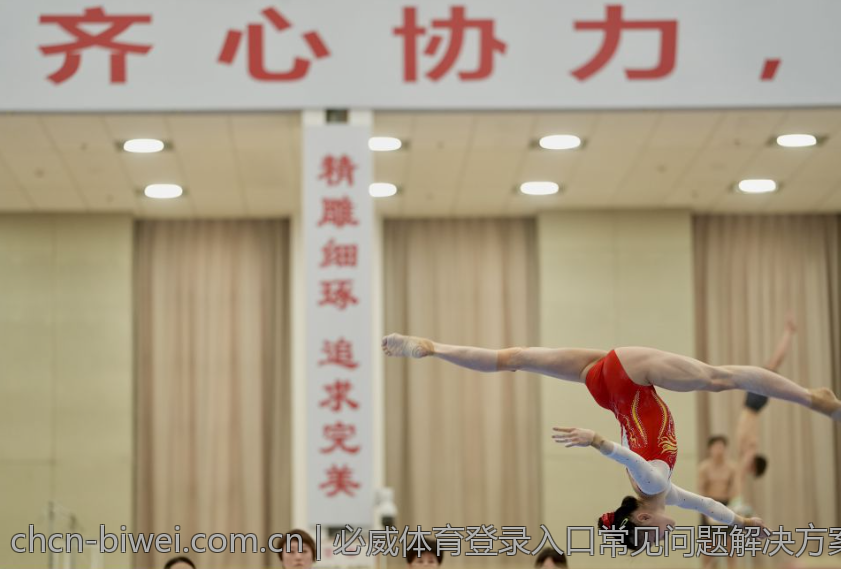 必威体育登录入口常见问题解决方案